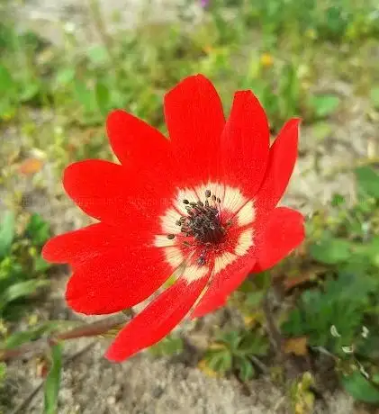 Photo de Park