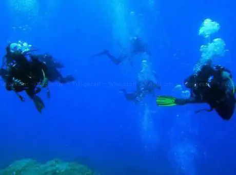 Photo de Scuba Blue Dive Academy