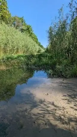 Photo de Resser Bach
