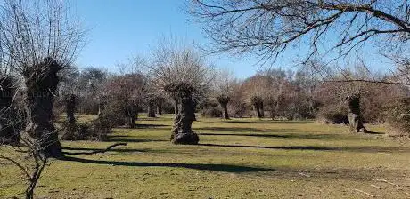 Photo de Dehesa de Abajo