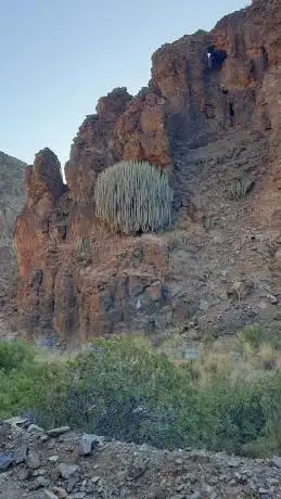 Photo de Sendero barranco hondo