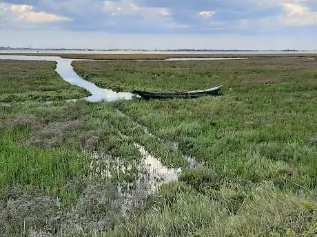 Photo de Passeggiata delle Barene - Campalto