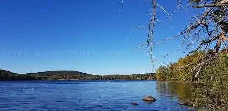 Photo de Bergviken