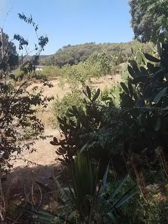 Photo de Parc-Espai Natural