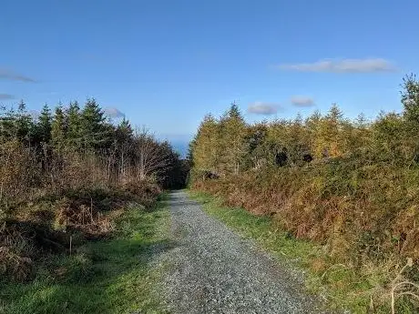 Entrance to Rathmichael Wood