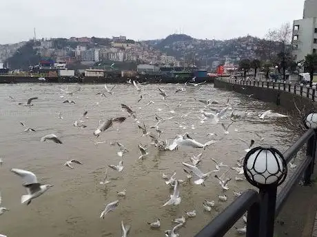 Photo de Maden Şehitleri Anıtı
