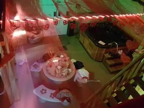 Photo of Romantic Dolphin