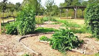 Photo de Artpiculture Garden