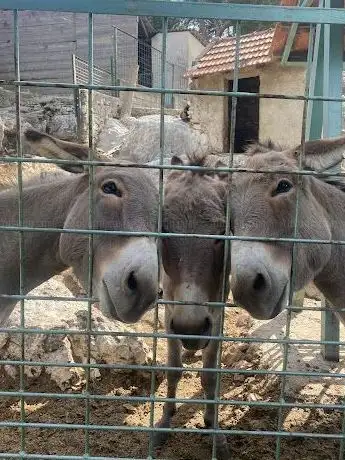 Photo de Prirodoslovni Muzej I Zoološki VRT - Split