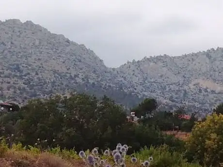 Photo de Karaoğlan