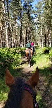 Photo de Cranloch Riding Centre