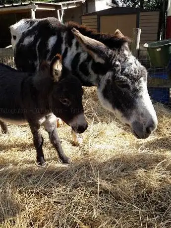 Photo de Ferme Du-Mathou