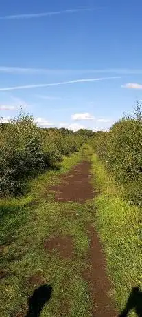 Photo de Lindow Man Findspot