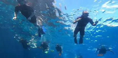 Photo de Martinique Plongée