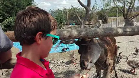 Photo de Rioja Natura Park Zoo