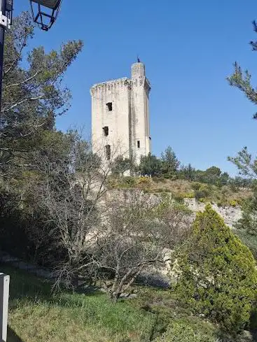 Photo de Torre Anglica