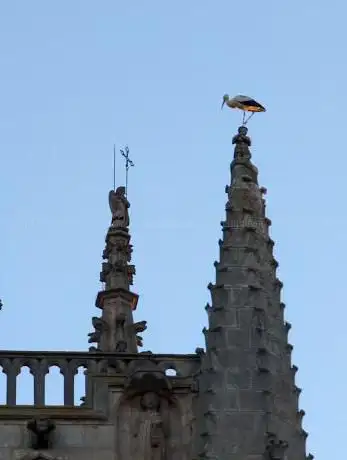 Photo de Monumento al Peregrino