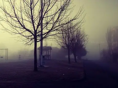 Photo de Park