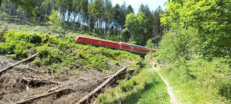 Photo de Schwarzwaldbahn Erlebnispfad