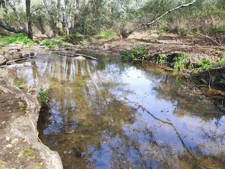 Photo de Finca El Manzano S.L