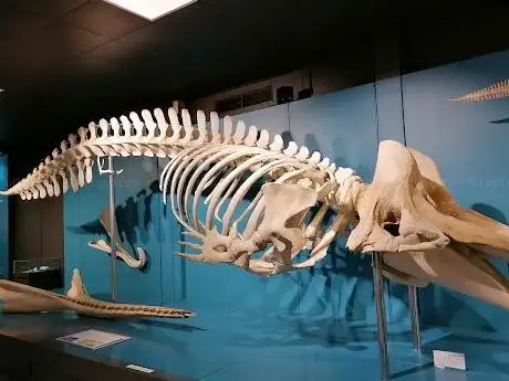 Photo de Museum of Nature - Zoology
