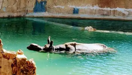 Photo de Terra Natura