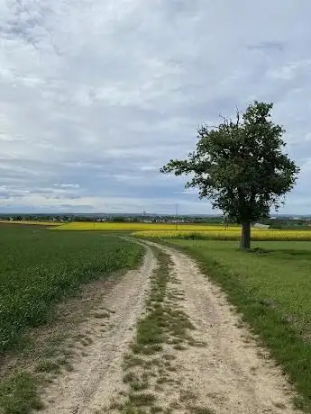 Photo de Der Seelenvater