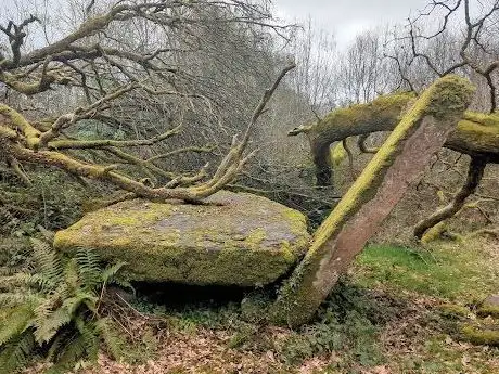 Photo de Druid's Altar / Dolmen