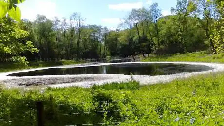 Photo de Wollerton Wetlands