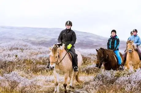 Photo de Øien Øvre hesteaktiviteter