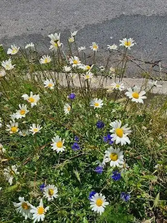 Photo de Grace O'Malley Park