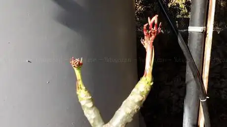 Photo de Ex Casello SAFS Siracusa Ragusa Vizzini