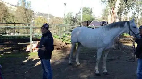 Photo de Equestrian Center Montenuovo