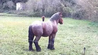 Photo de Entrée Gare Parc de la poudrerie