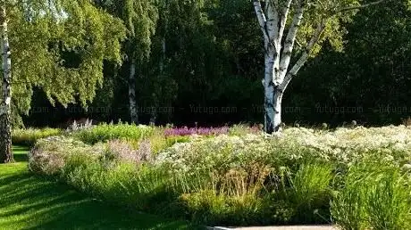 Photo de Norderstedt Park