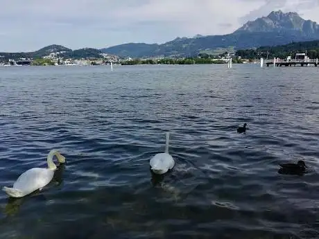 Photo de Lido Wiese