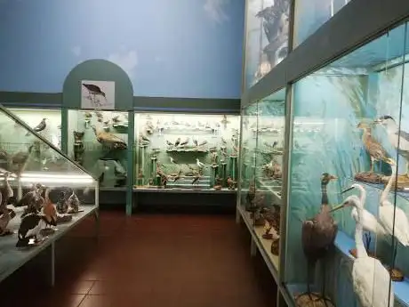 Photo de Centro di Documentazione dell'Ecomuseo delle Valli Oglio-Chiese