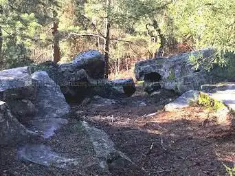 Foto de Forêt de Rambouillet et rochers d'Angennes