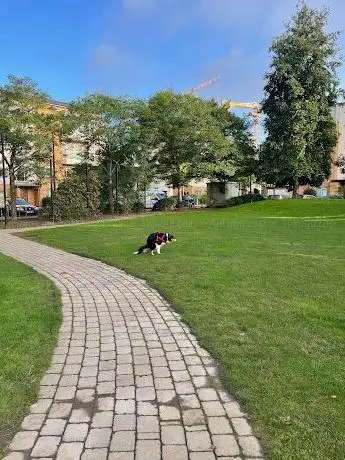 Photo de Belmayne Park