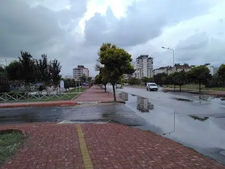 Photo de Park