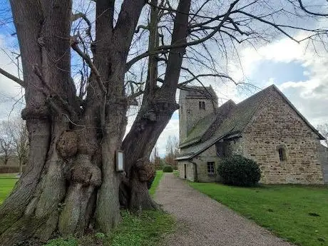 Photo de Friedhofslinde