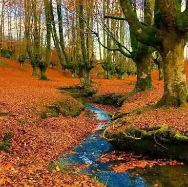 Photo de Gorbea