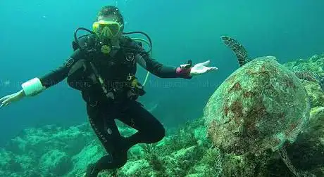 Photo de ABC Dive 972 Plongée Martinique