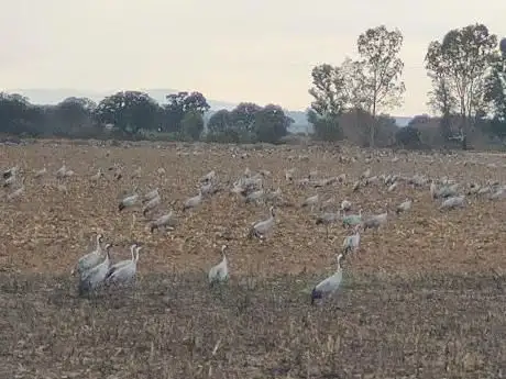 Photo de Periurbano de Conservación y Ocio Dehesa de Moheda Alta Park