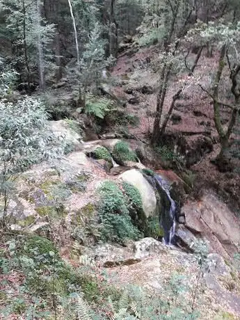 Photo de Mámoa do Forno das Arcas