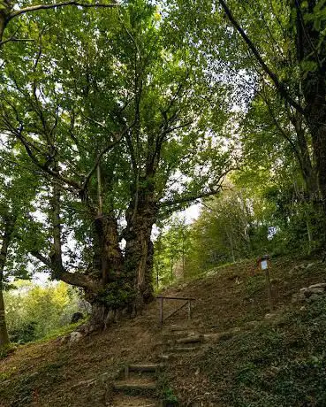 Photo de Kostanj Kanalac