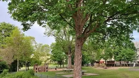 Photo de Rosenzweig Park