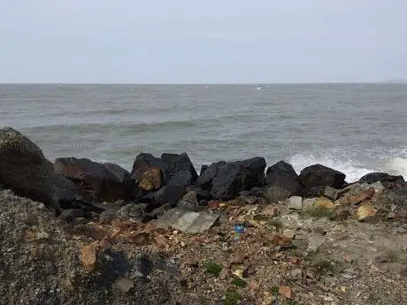 The Cove