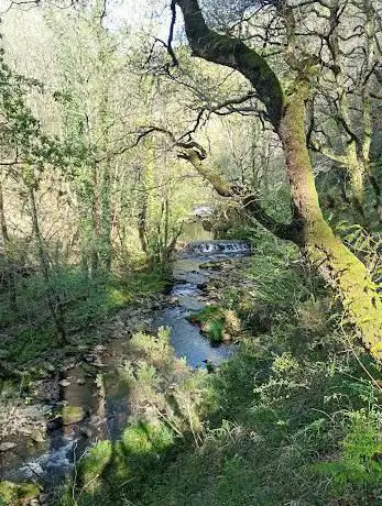 Photo de Cascada del Arroyo de la Palanca