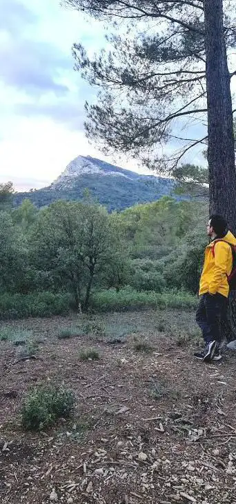Photo de Réserve naturelle nationale de Sainte-Victoire
